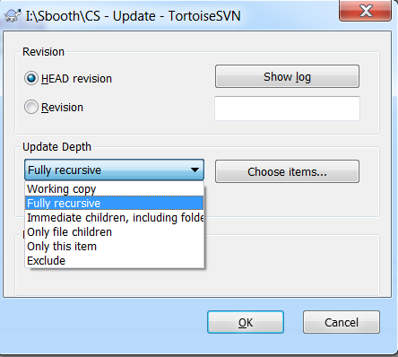 TortoiseSVN Dialog showing how to change the checkout depth of a single folder after checkout.
